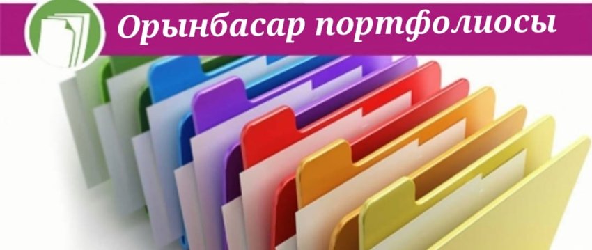 Директор орынбасары портфолиосы